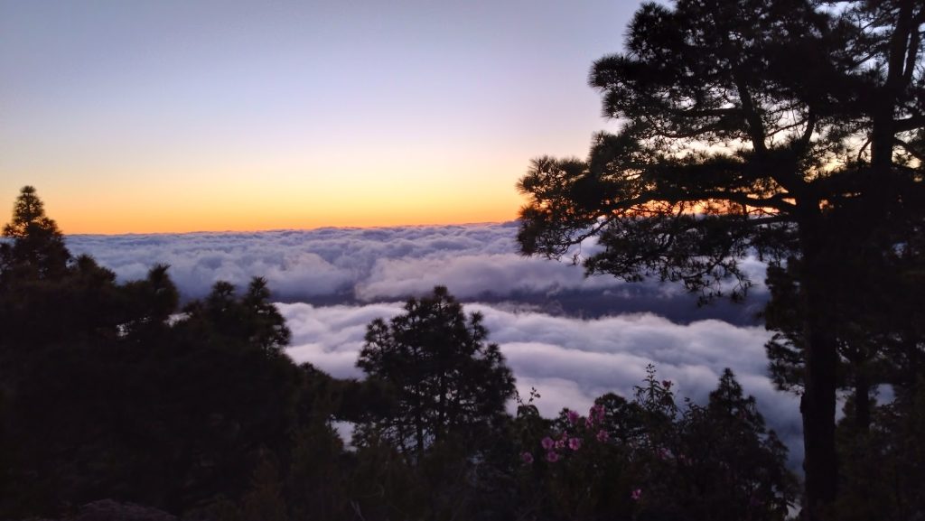 Transvulcania Ultratrail - Bild 3 Morgensonne | Transvulcania Ultratrail